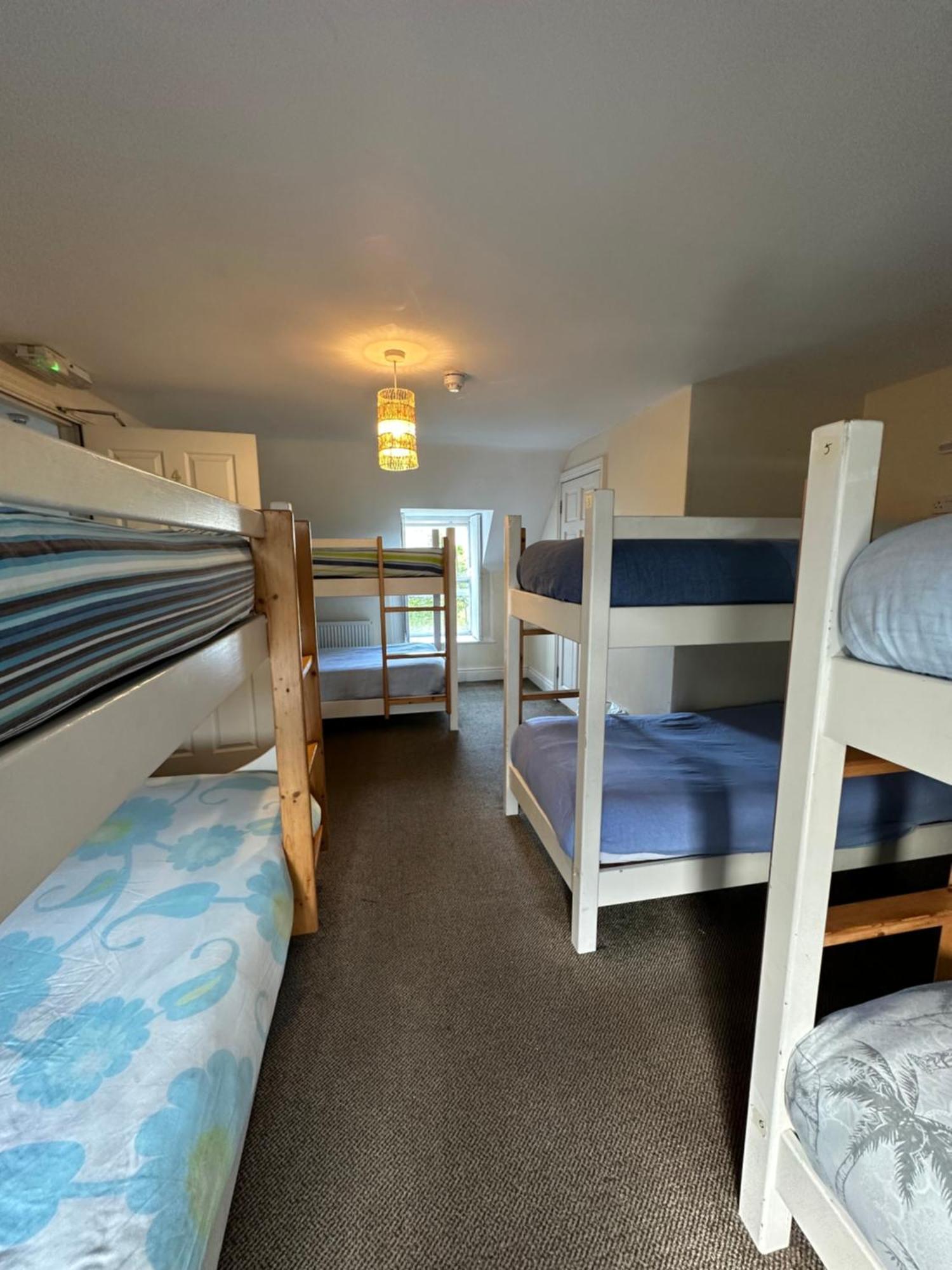 The Grapevine Hostel Dingle Exterior photo